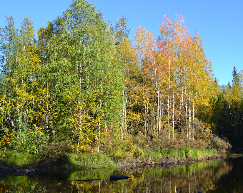 Marvel of autumn colours!